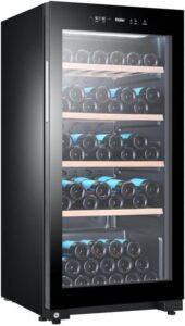 Haier - 105 bouteilles