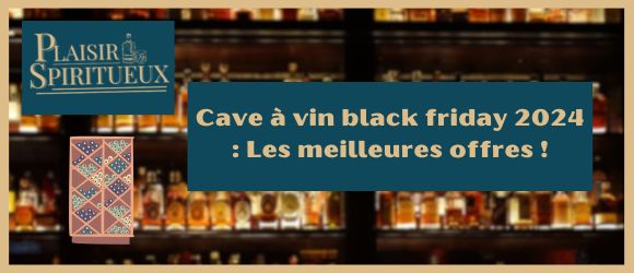Cave à vin black friday 2025 : Les meilleures offres !